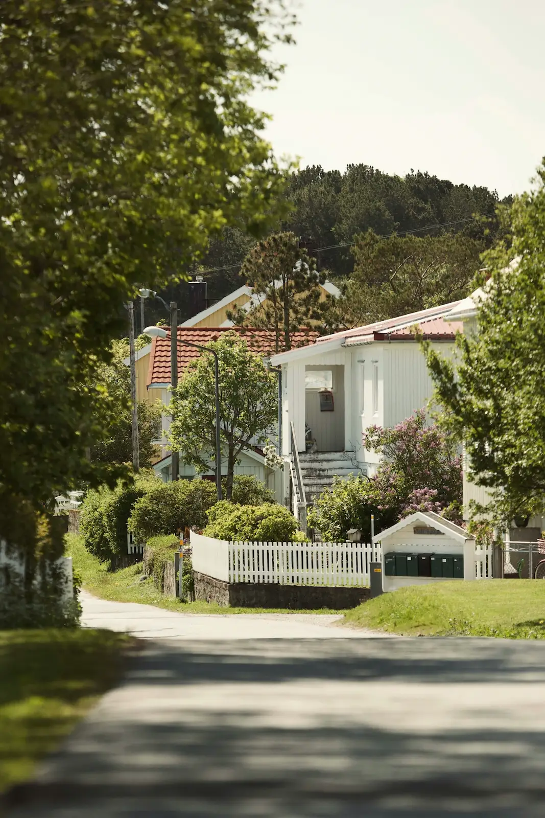 First home buyer guide: Common mistakes to avoid when buying your first home in NZ